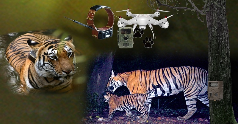 How data collection methods changing in wildlife research field - महा