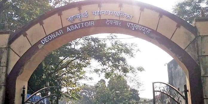 deonar abattoir