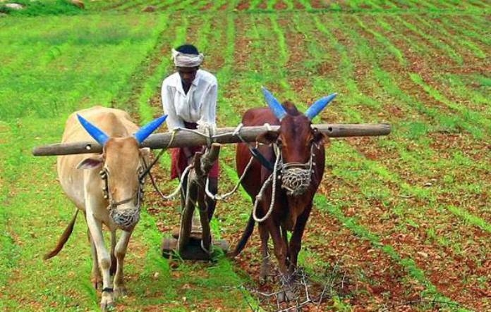 agricultural