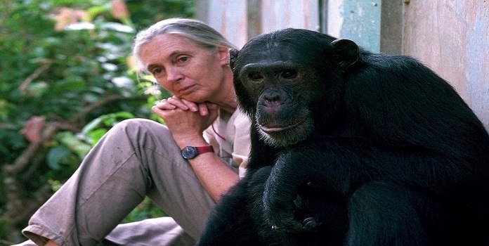 Dr. Jane goodall Mumbai Visit