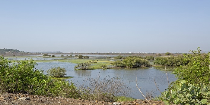 Survey of wetlands