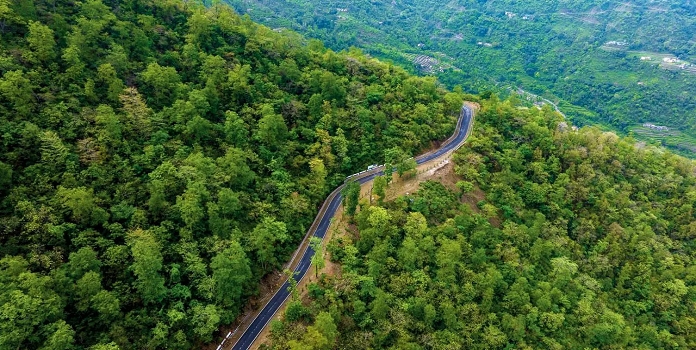 maharashtra forest cover