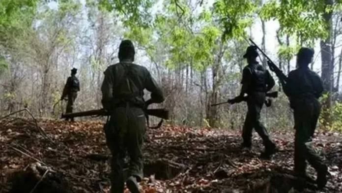 12 Naxalites killed in Chhattisgarh