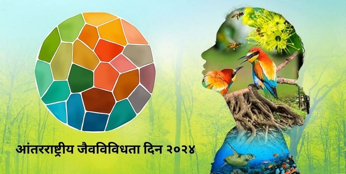 international biodiversity day