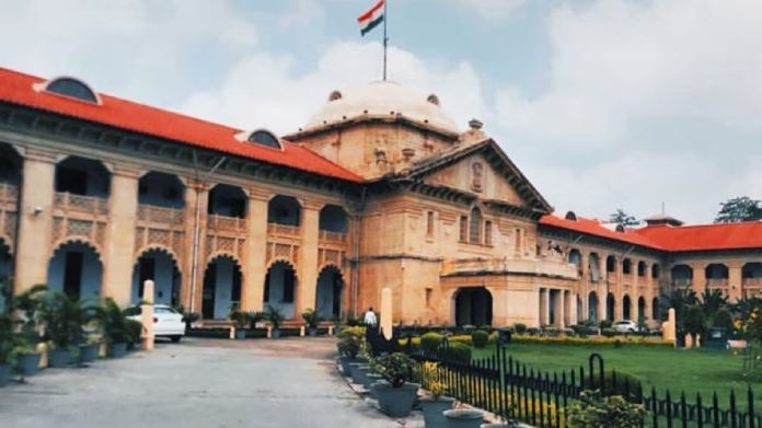 allahbad high court observation