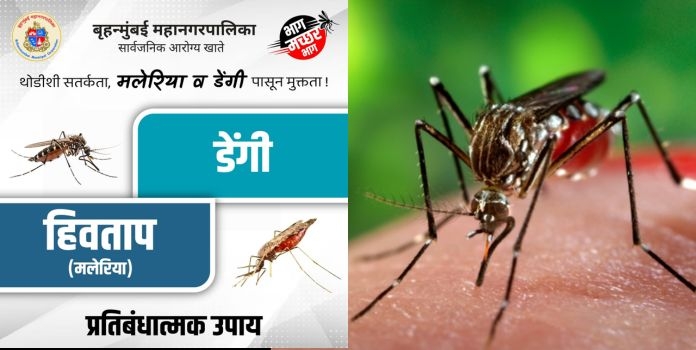 Mumbai Against Dengue News