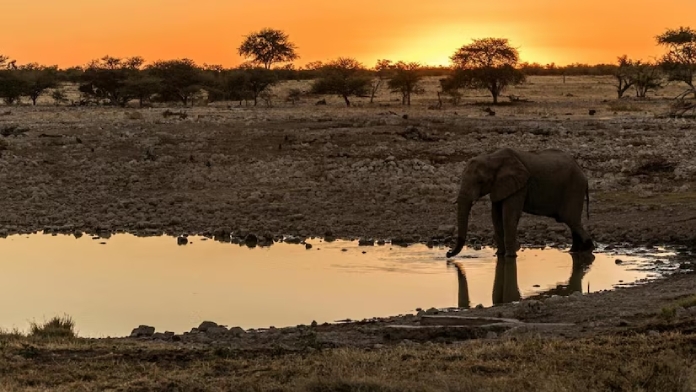 south africa namibia