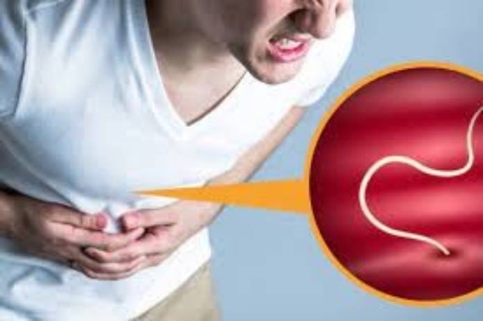 ayurveda bacteria stomach infection